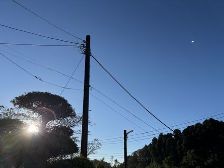 9月に入っても・・・